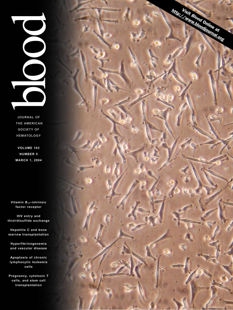Blood 103-5 cover