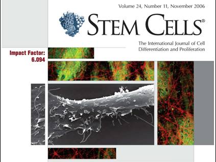 Stem Cells Cover